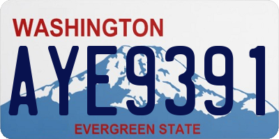 WA license plate AYE9391