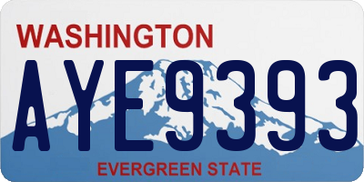 WA license plate AYE9393