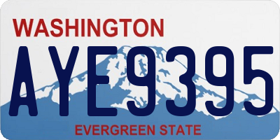 WA license plate AYE9395