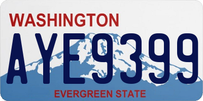 WA license plate AYE9399