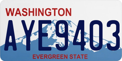WA license plate AYE9403