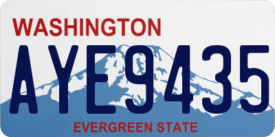 WA license plate AYE9435