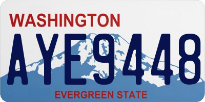 WA license plate AYE9448