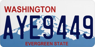 WA license plate AYE9449