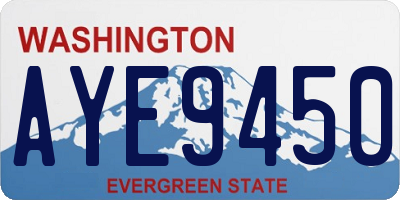 WA license plate AYE9450