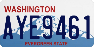 WA license plate AYE9461