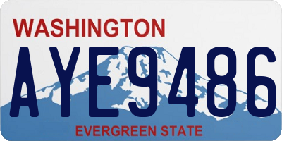 WA license plate AYE9486