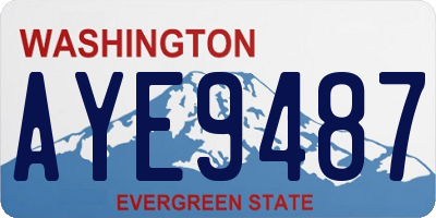 WA license plate AYE9487