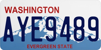 WA license plate AYE9489