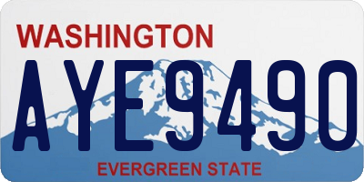 WA license plate AYE9490
