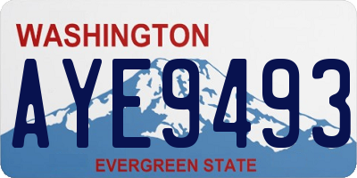 WA license plate AYE9493