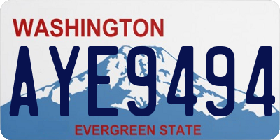 WA license plate AYE9494