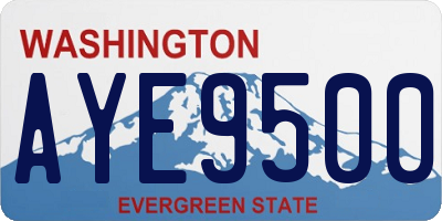 WA license plate AYE9500