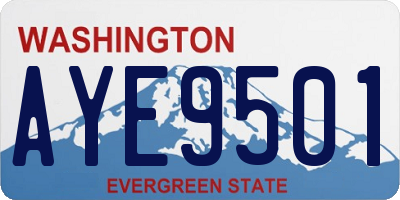 WA license plate AYE9501