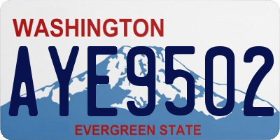 WA license plate AYE9502