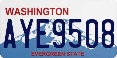 WA license plate AYE9508