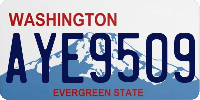 WA license plate AYE9509