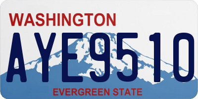 WA license plate AYE9510