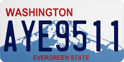 WA license plate AYE9511