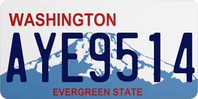 WA license plate AYE9514