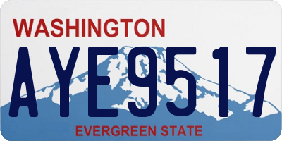 WA license plate AYE9517