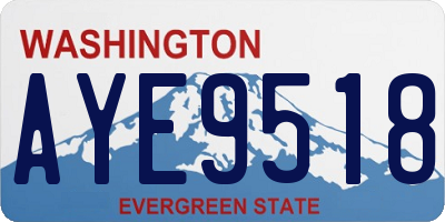 WA license plate AYE9518