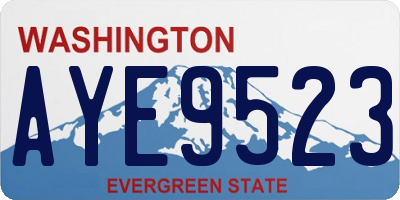 WA license plate AYE9523
