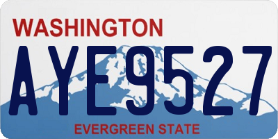 WA license plate AYE9527