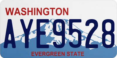 WA license plate AYE9528