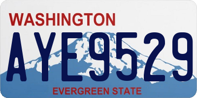 WA license plate AYE9529