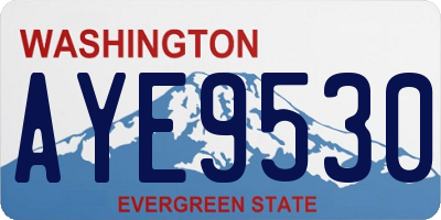 WA license plate AYE9530