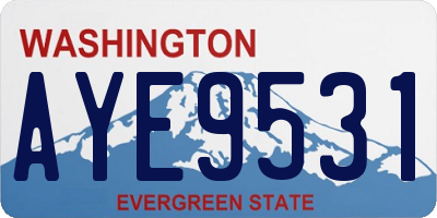 WA license plate AYE9531