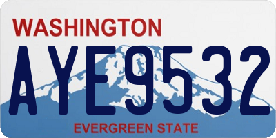 WA license plate AYE9532