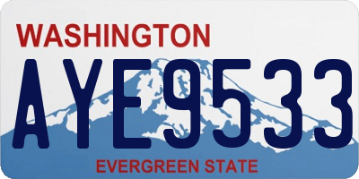 WA license plate AYE9533