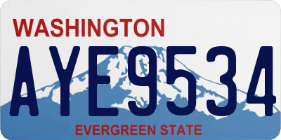 WA license plate AYE9534