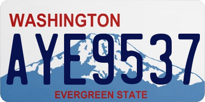 WA license plate AYE9537