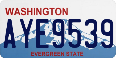 WA license plate AYE9539