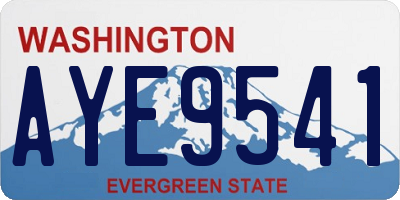 WA license plate AYE9541