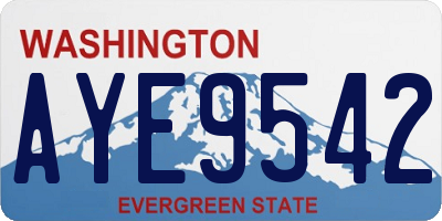 WA license plate AYE9542