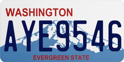 WA license plate AYE9546
