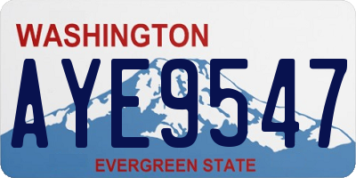 WA license plate AYE9547