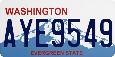 WA license plate AYE9549