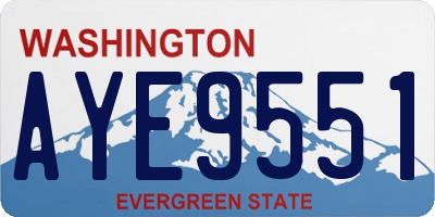 WA license plate AYE9551