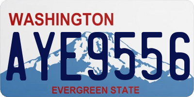 WA license plate AYE9556