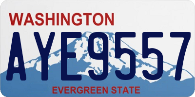 WA license plate AYE9557