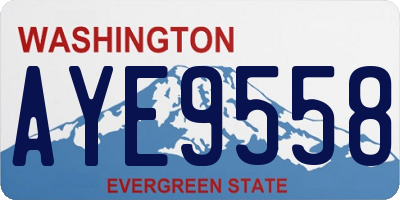 WA license plate AYE9558