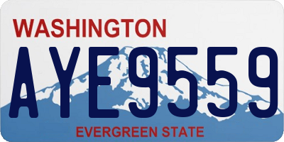 WA license plate AYE9559