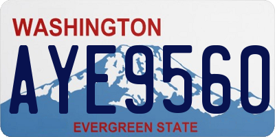 WA license plate AYE9560