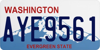 WA license plate AYE9561