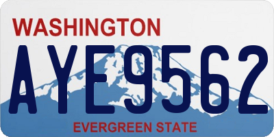 WA license plate AYE9562